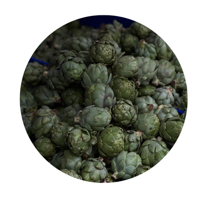 Artichoke